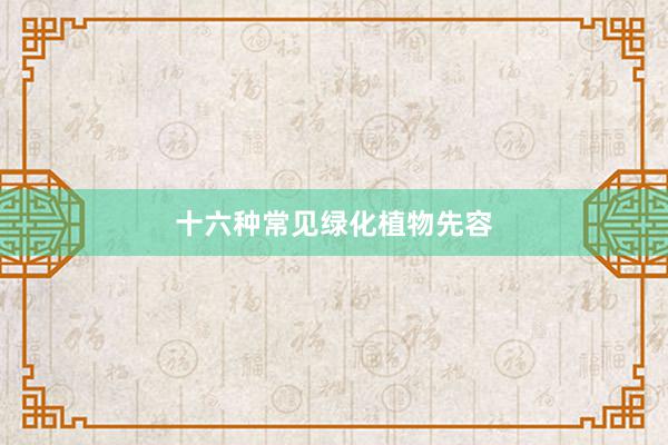十六种常见绿化植物先容