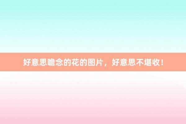 好意思瞻念的花的图片，好意思不堪收！