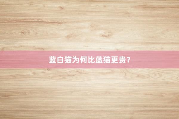蓝白猫为何比蓝猫更贵？