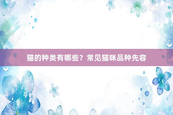 猫的种类有哪些？常见猫咪品种先容